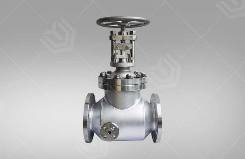 Jacketed insulation globe valve
