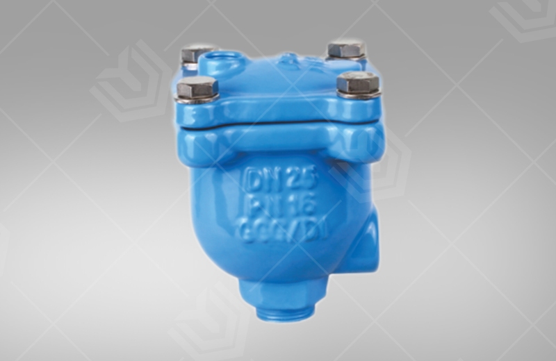 Micro exhaust valve