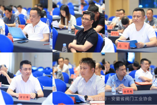 安徽(huī)省閥(fá)門工業協會(huì)第一屆第二次會員大會在合肥召開(圖10) 安徽省閥門工業協會第一屆第二次會(huì)員大(dà)會在合肥召(zhào)開(圖10)