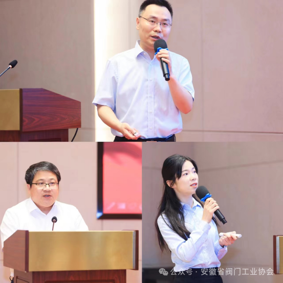 安徽省閥門工業協會第一屆第二次會員大會在合(hé)肥(féi)召開(圖12) 安徽省閥門工業協會第一屆第二次會員大會在合肥召開(圖12)