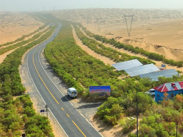Rooted deep in the desert let green and oil dance(圖(tú)1) Rooted deep in the desert let green and oil dance(圖1)